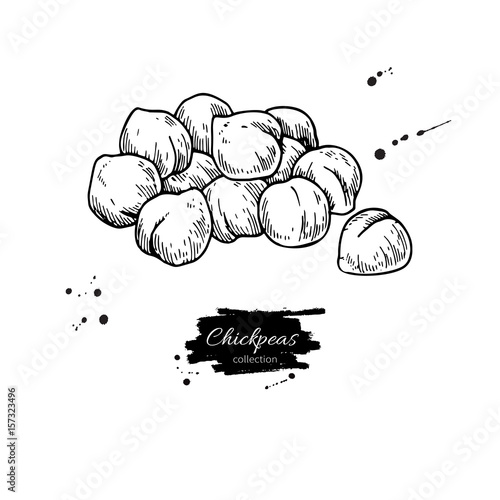 Chickpeas hand drawn vector illustration. Isolated Vegetable engraved style object.