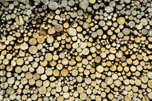 Stack of chopped wood