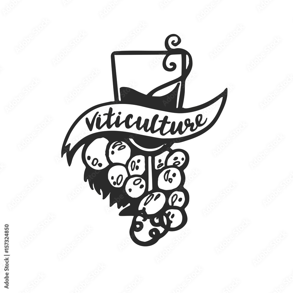 Viticulture lettering with wine. Hand drawn vector grapevine illustration, greeting card, design, logo.