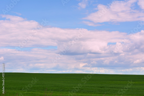Beautiful spring landscape: green field against the sky, nature 