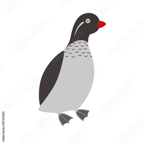 Illustration of a parakeet auklet bird photo