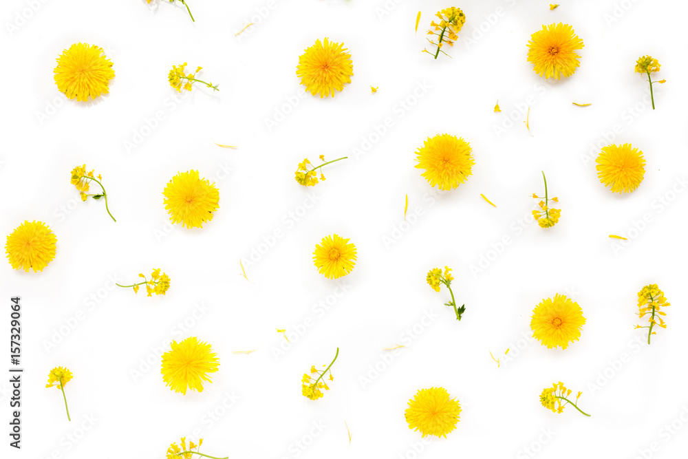 Frame made of yellow flowers. Dandelion flowers on white background. Top view, flat lay, mock up