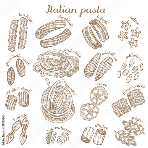 vector set of different pasta shapes