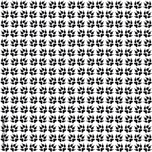 Pattern from animal footprint