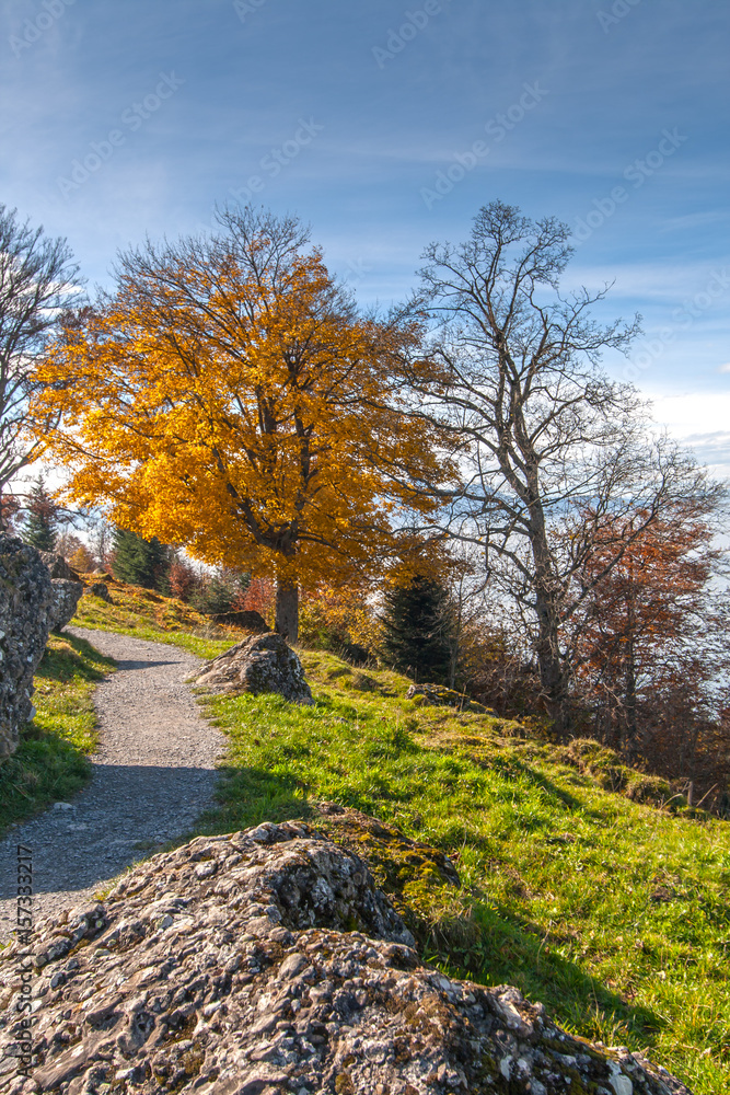 Amazing autumn landscape near Mount Rigi, Alps, Switzerland 