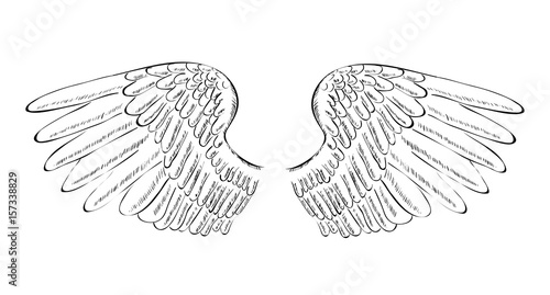 Symbol of Freedom - Wings of Freedom Icon Concept -  Vector Illustration  