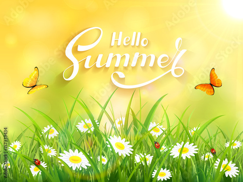 Lettering Hello Summer on yellow nature background
