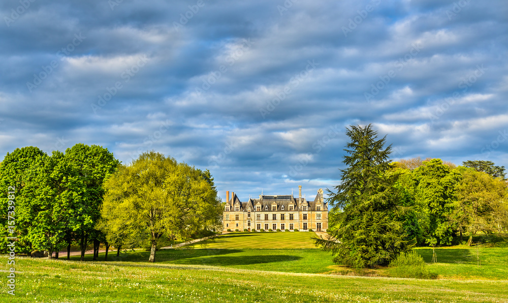 Chateau de Beauregard, one of the Loire Valley castles in France