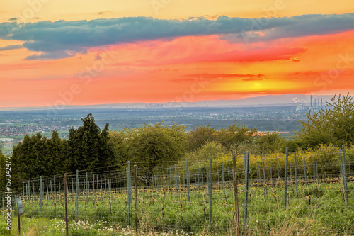 Sonnenuntergang über der Mainebene