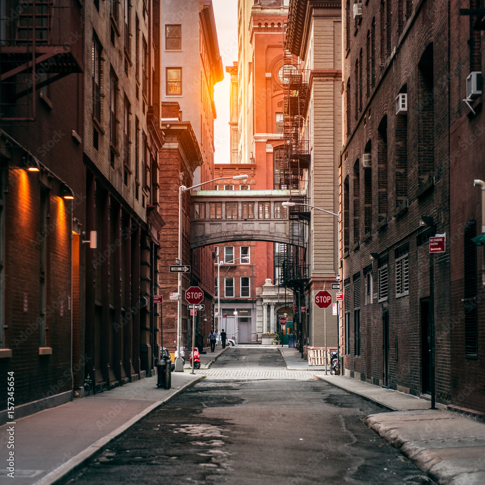 Fototapeta Miasto Nowy Jork ulica przy zmierzchu czasem. Stara sceniczna ulica w TriBeCa okręgu w Manhattan.