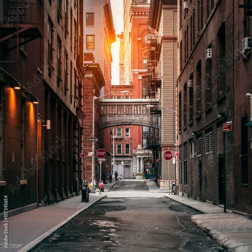Obraz Miasto Nowy Jork ulica przy zmierzchu czasem. Stara malownicza ulica w dzielnicy TriBeCa na Manhattanie.