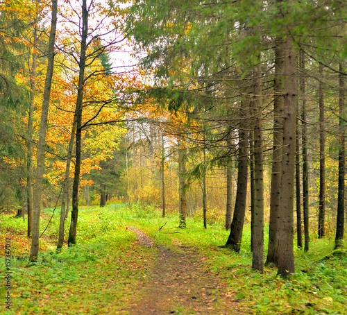 Park and walkway at autumn.