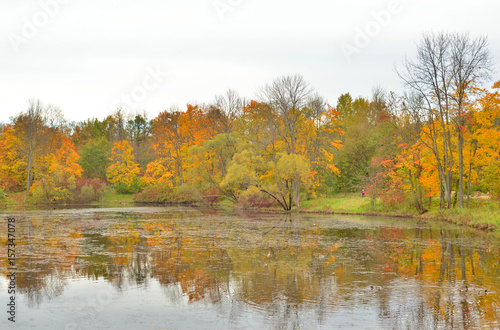 Fototapeta Naklejka Na Ścianę i Meble -  Park and pond at autumn.