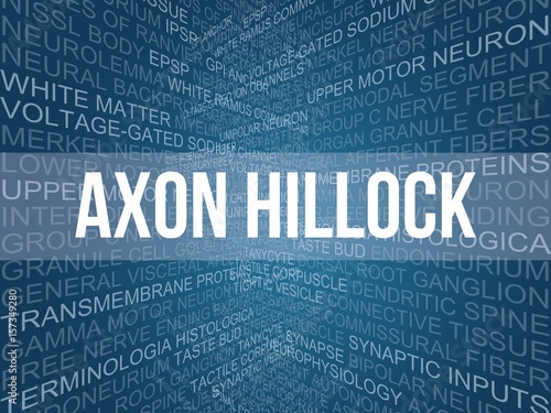 Принти на полотні Axon hillock
