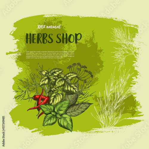 Vector poster of spices and herbs for shop