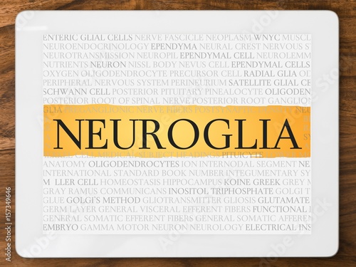 Neuroglia