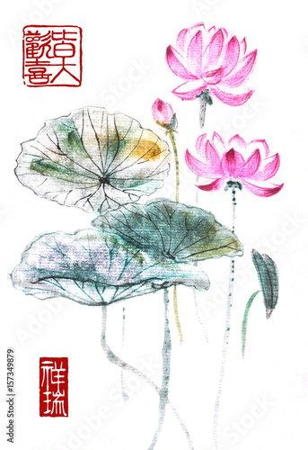 Chinese-style drawings, sketches, Lotus,Water Lilis photo