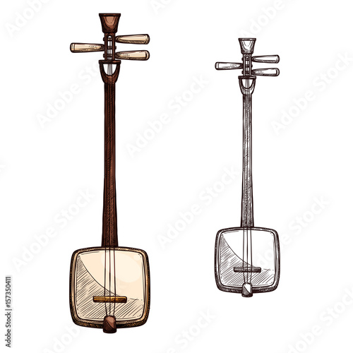 Vector sketch Japanese string music instrument