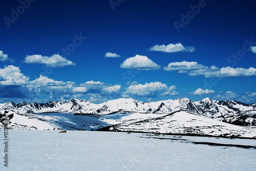 Wallpaper Mural Trailridge Road Torontodigital.ca
