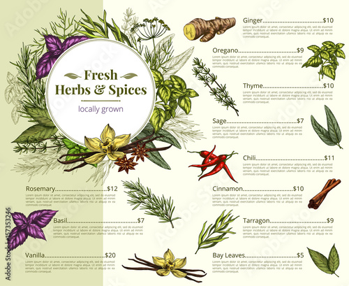 Vector menu price for spices and herbs shop