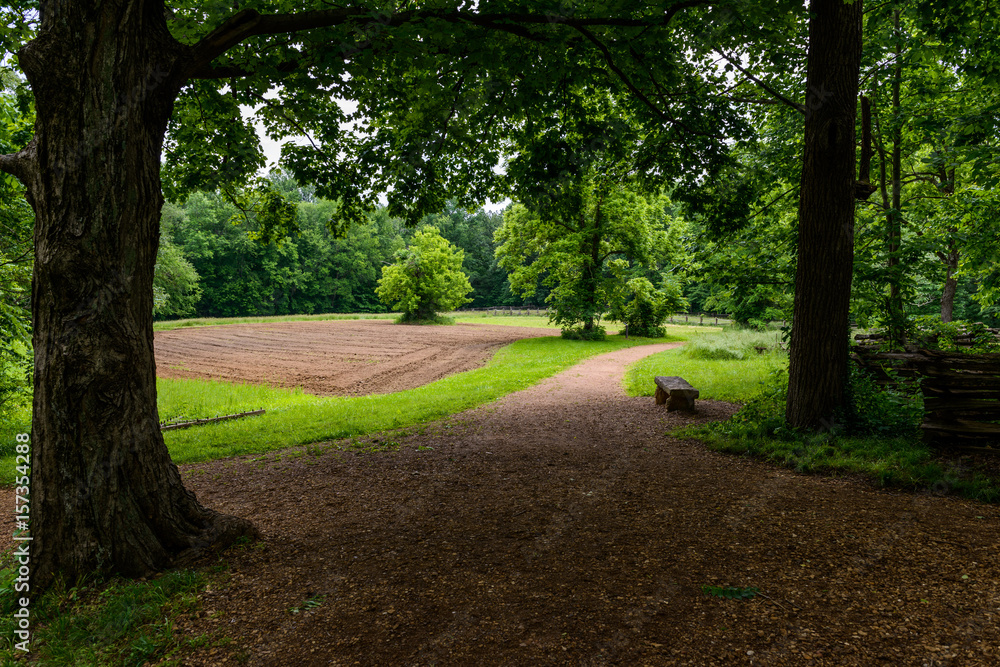 Obraz premium Country Scene