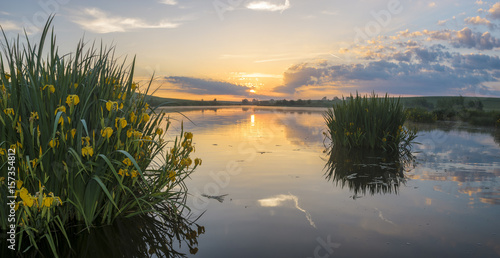 Fototapeta Naklejka Na Ścianę i Meble -  Beautiful, sunny, colorful and foggy sunrise over the lake on which the irises bloom
