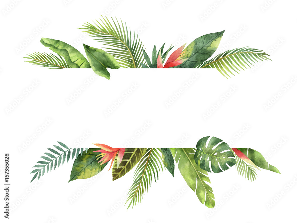 Naklejka premium Akwarela transparent tropikalny liści i gałęzi na białym tle.