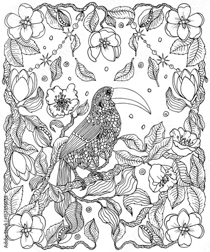 Toucan and flowers coloring page