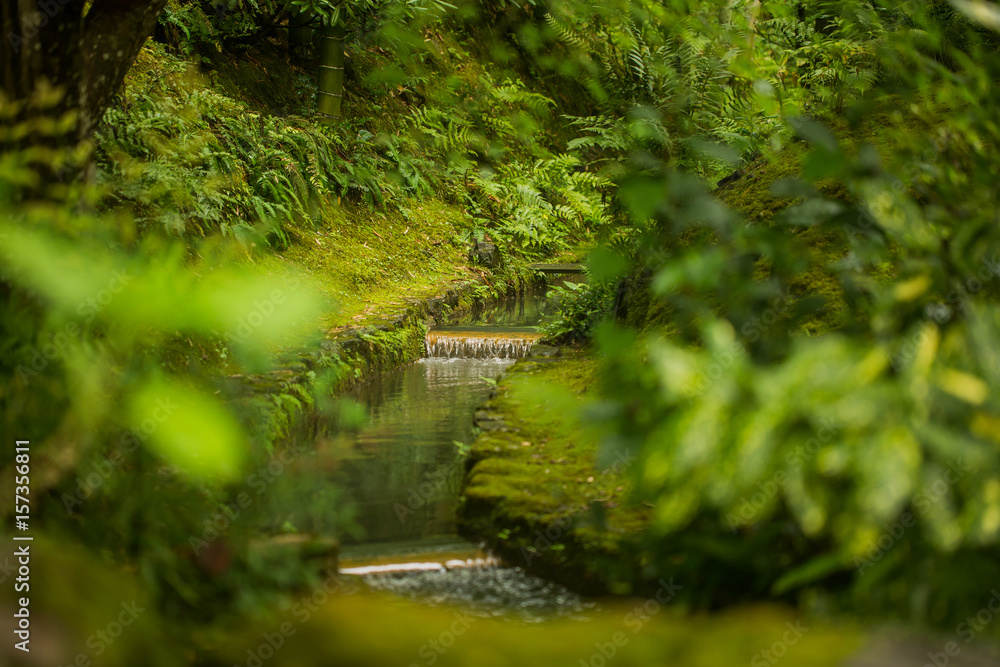 Naklejka premium Kyoto Temple Garden