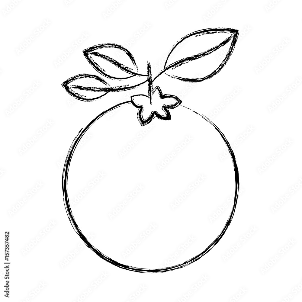 blurred thick silhouette of orange fruit with stem and leafs vector illustration blurred thick silhouette of orange fruit with stem and leafs vector illustration