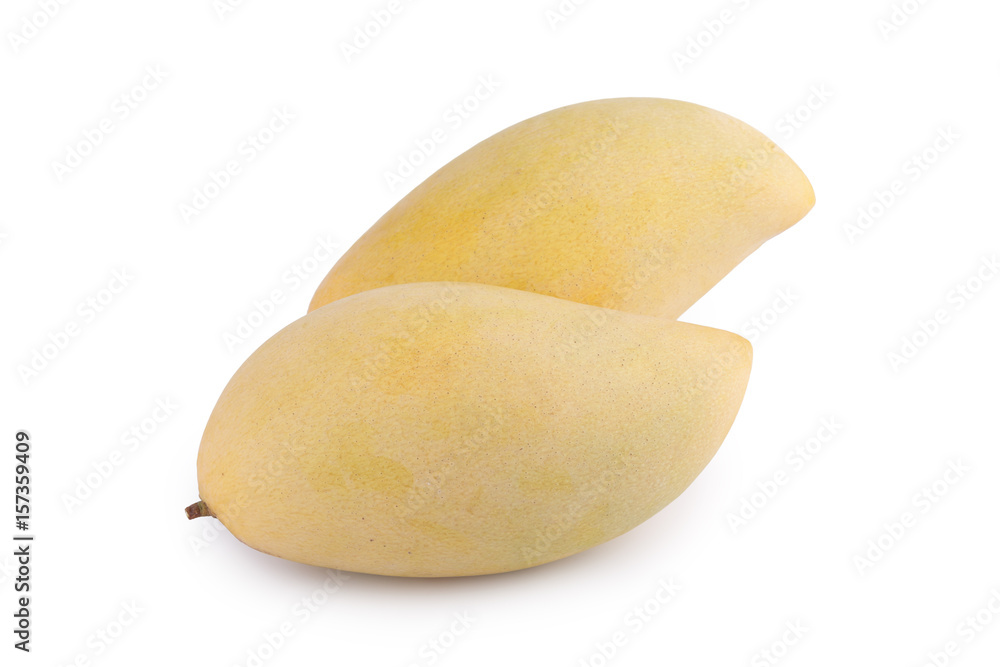 yellow mango fruit on white background