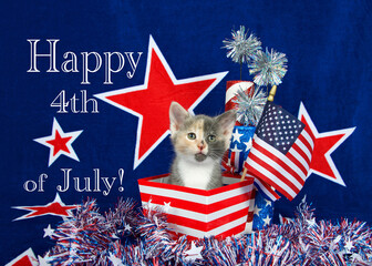 Patriotic calico kitten sitting in red white stripped box tinsel with white stars on table in front of her. blue background with red stars outlined in white, American flag kitten  Happy 4th July text.