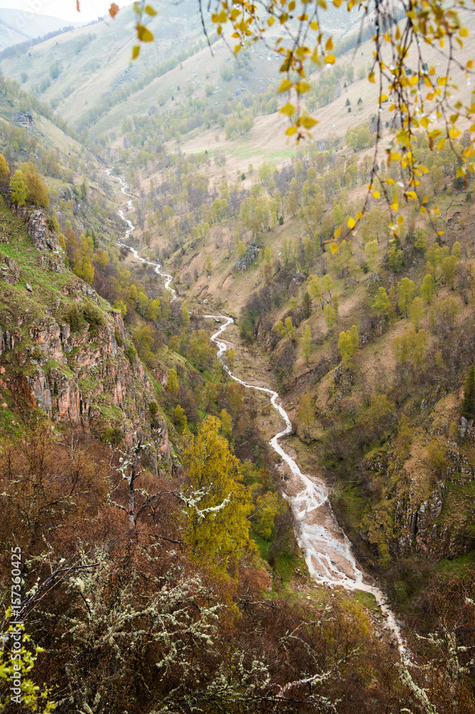 Caucasian Mountain river in the gorge in rainy weather