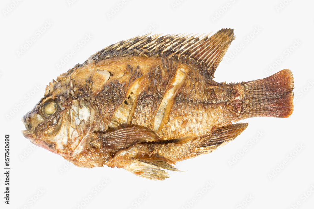 Fototapeta premium Fried Tilapia isolated white background.