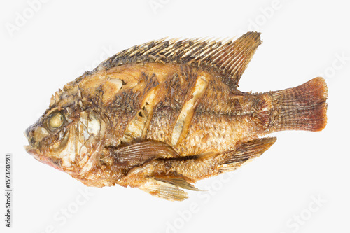 Fried Tilapia isolated white background.