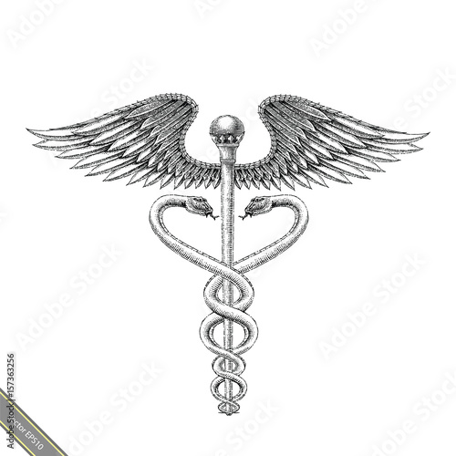 Medical symbol hand drawing vintage style.Aesculapius hand drawing engraving style black and white logo
