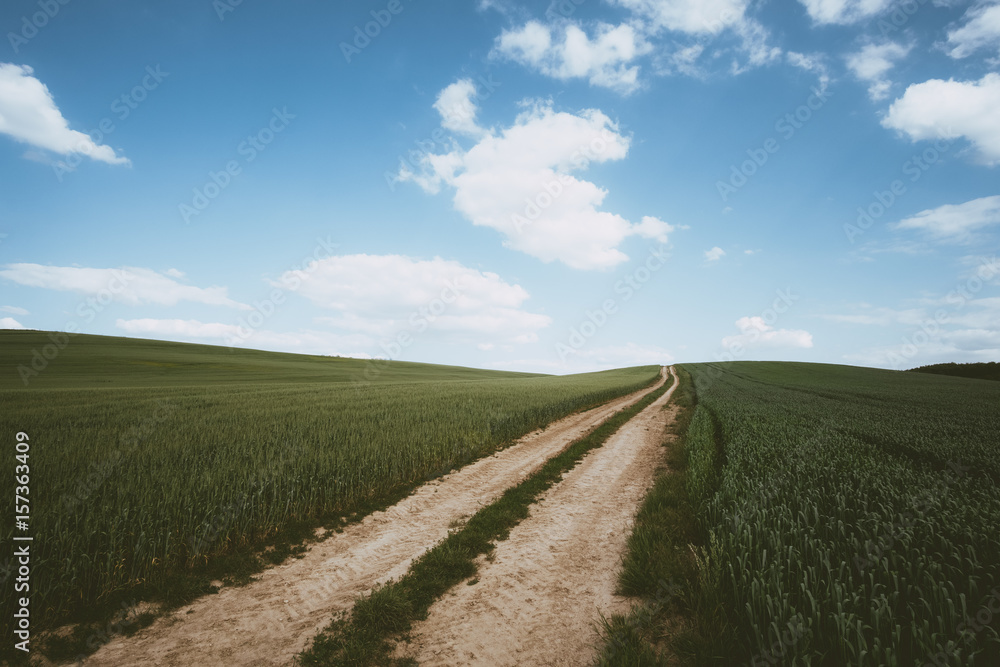 Dirt road across wheat field