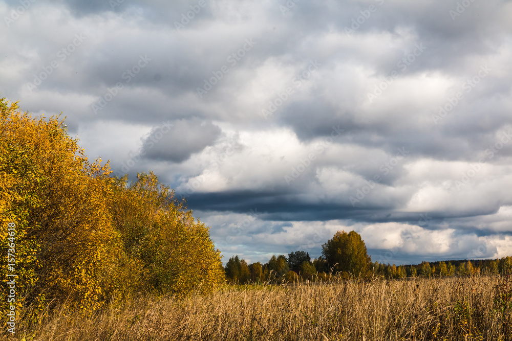 Fototapeta premium The sky and clouds