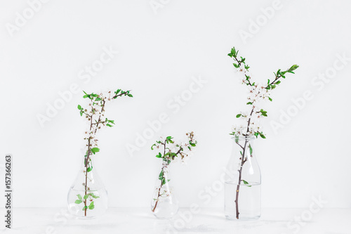 Flowers composition. Apple tree flowers into vases. Scandinavian style