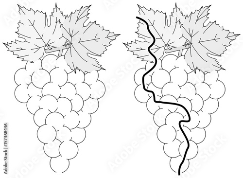 Easy grapes maze