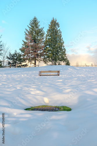 Burnaby Mountain’s before sunset, Vancouver Jan 2017. 