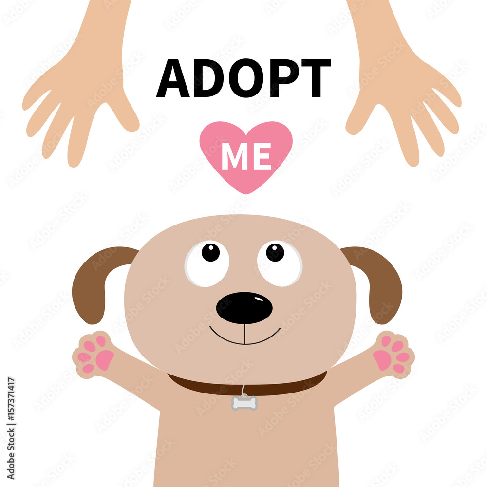 Adopt me. Dog face. Pet adoption. Puppy pooch looking up to human hand ...