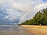Rainbow over the forest and beach. 