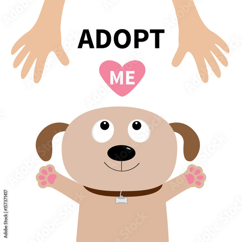 Adopt me. Dog face. Pet adoption. Puppy pooch looking up to human hand, paw print hug. Flat design. Help homeless animal concept. Cute cartoon character. White background. Isolated.
