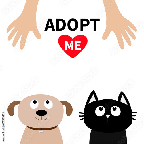 Human hand. Adopt me. Dont buy. Dog Cat Pet adoption. Puppy pooch kitty cat looking up to red heart. Flat design. Help homeless animal concept. White background. Isolated.