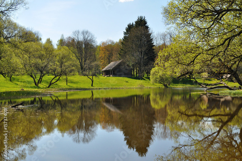 lake in forest