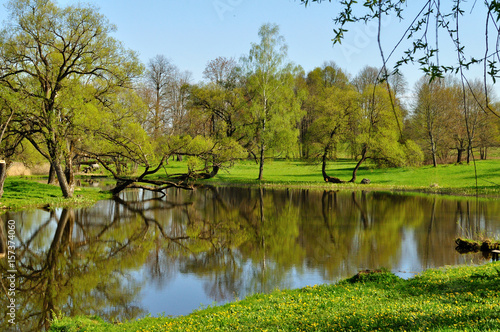 landscape with river and trees