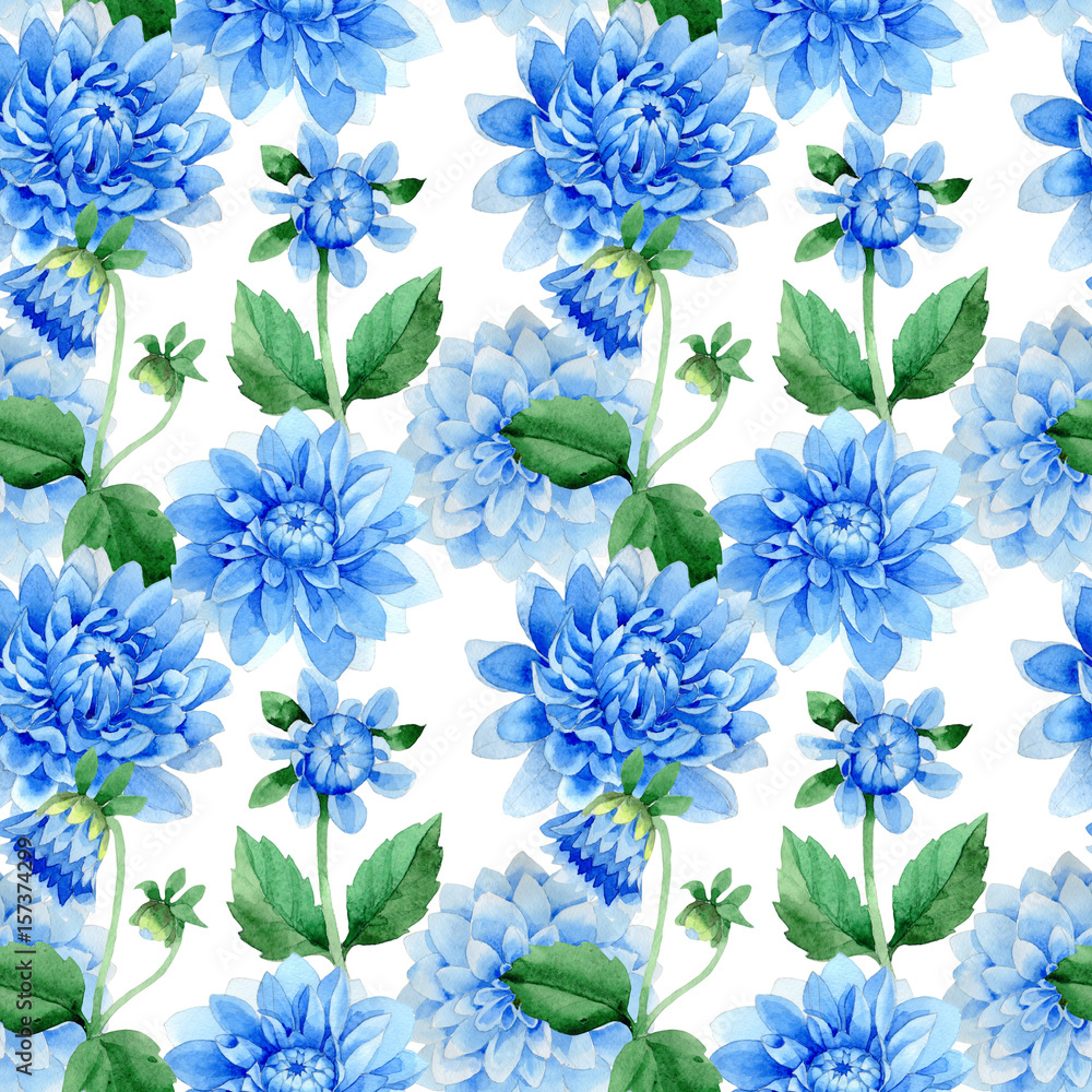 Wildflower blue dahila flower pattern in a watercolor style isolated.