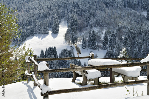 bench in the park