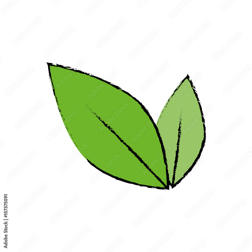 leaves nature plant vector icon illustration graphic design leaves nature plant vector icon illustration graphic design